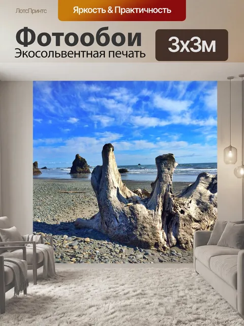 Фотообои Стволы деревьев