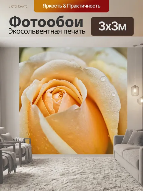 Фотообои Роза