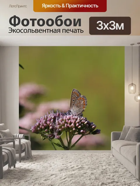 Фотообои Бабочка