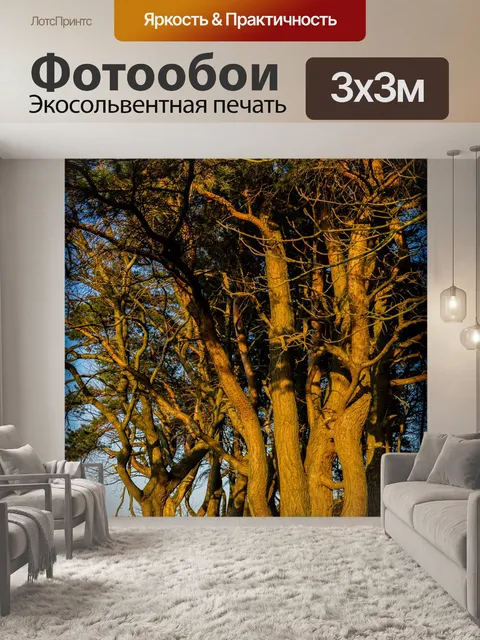 Фотообои Солнце