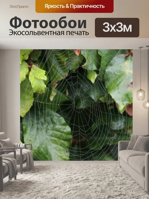 Фотообои Туман