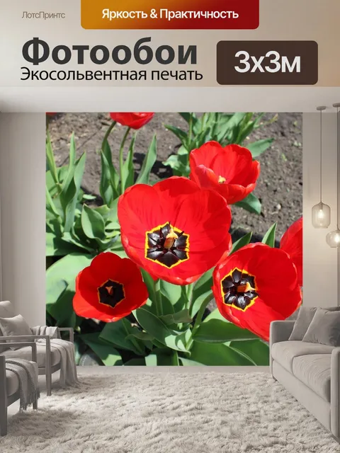 Фотообои Цветы