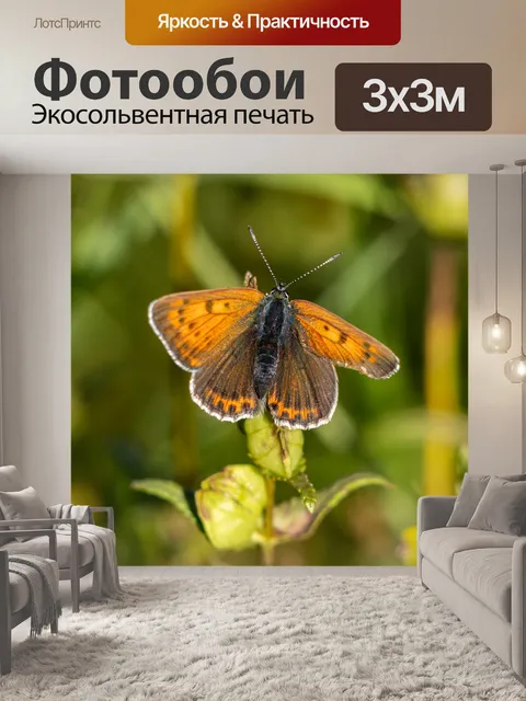 Фотообои Огонь фальтер