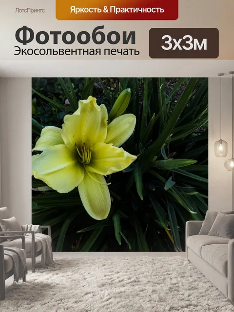 Фотообои Желтая лилия