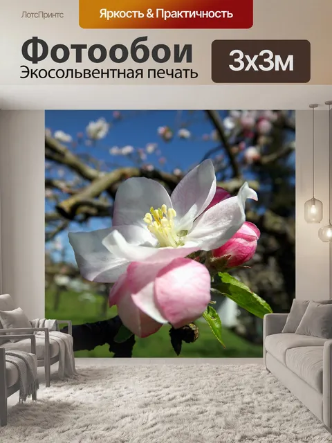 Фотообои Весна
