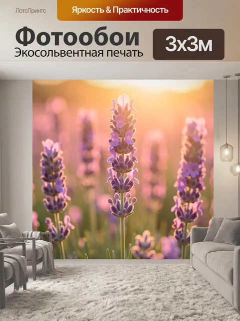 Фотообои Лавандовое поле в закатном свете