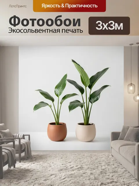 Фотообои Зеленые комнатные растения в горшках