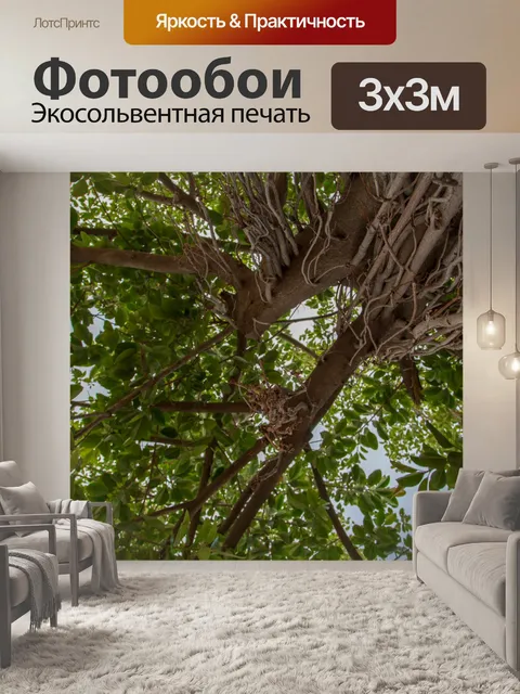 Фотообои Красивое зеленое дерево