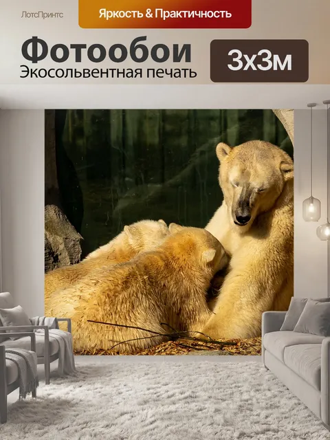 Фотообои Зоопарк