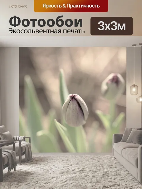 Фотообои Тюльпаны