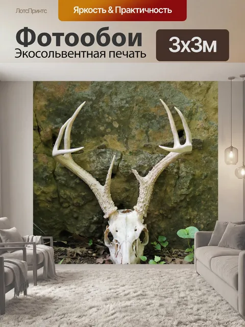 Фотообои Олень Череп в лесу