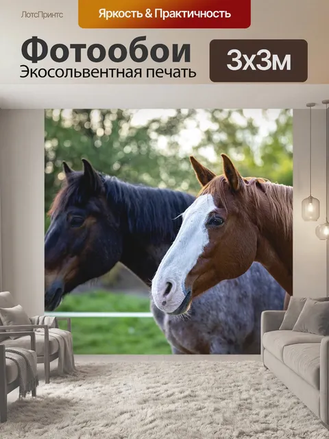 Фотообои Лошади
