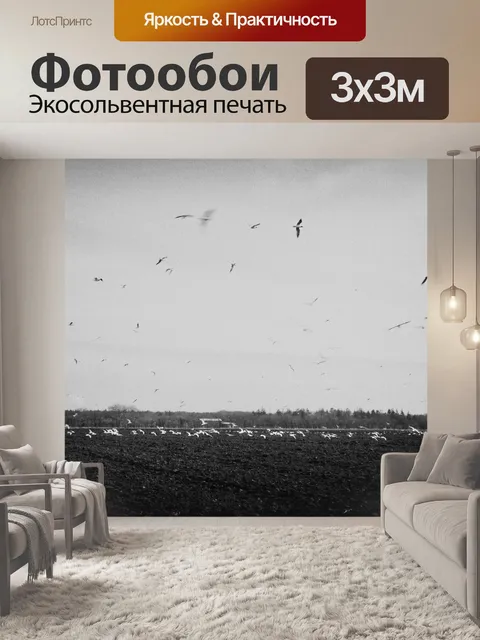 Фотообои Птицы