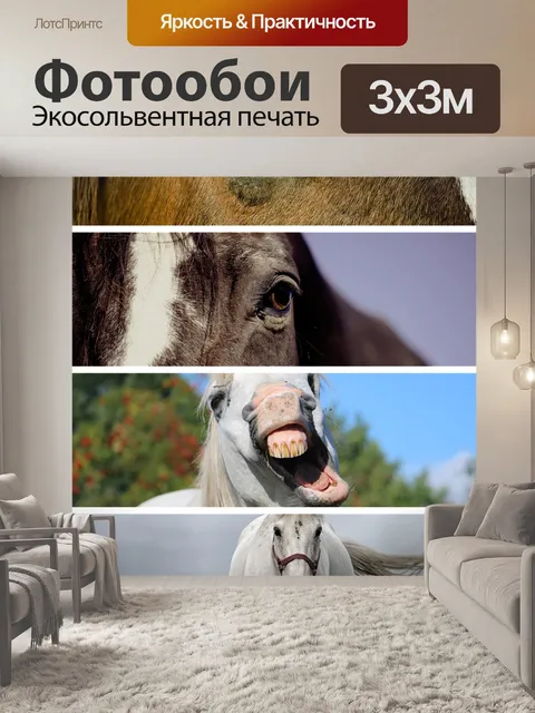 Фотообои Лошадь