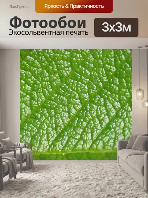 Фотообои Макро деталь роза лист