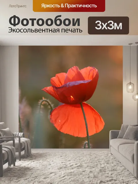 Фотообои Mac
