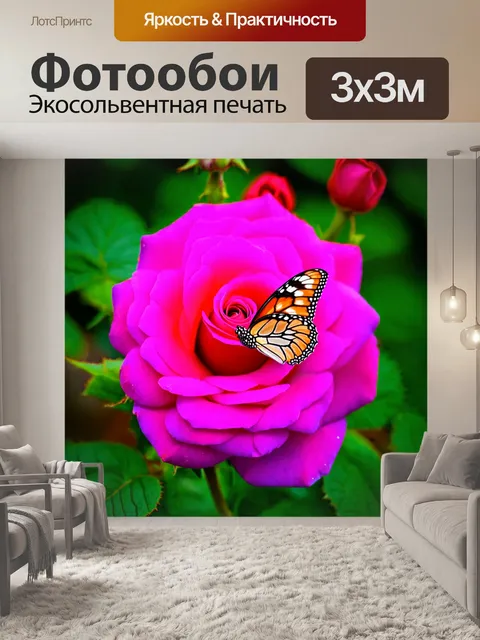 Фотообои роза с бабочкой