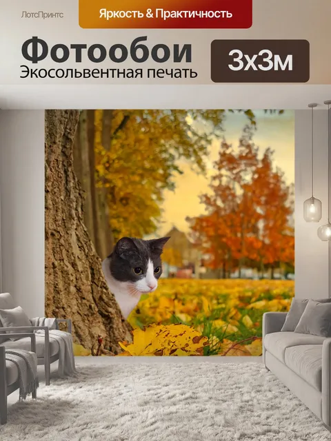 Фотообои Кошка