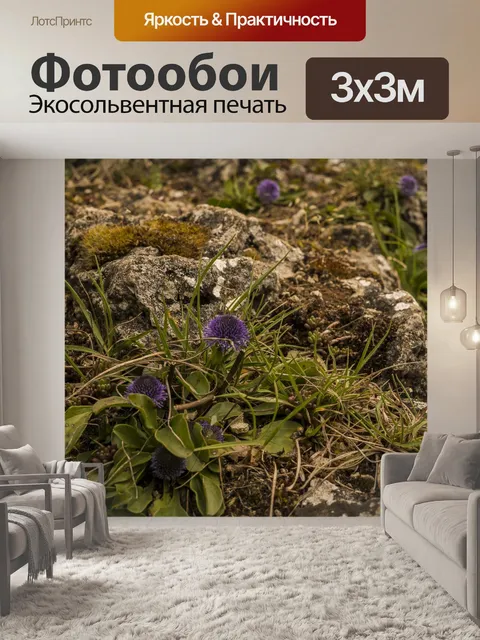 Фотообои Камень