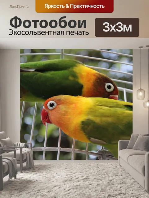 Фотообои Птица