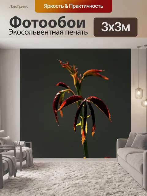 Фотообои Лист розы