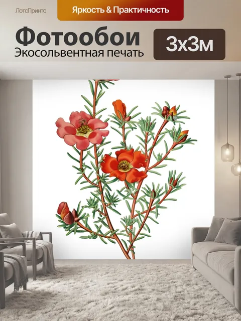 Фотообои Винтажные иллюстрации искусства цветы