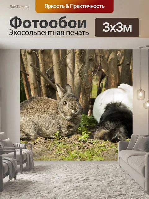 Фотообои Кролик