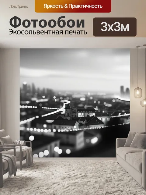 Фотообои пейзаж с видом города чернобелый