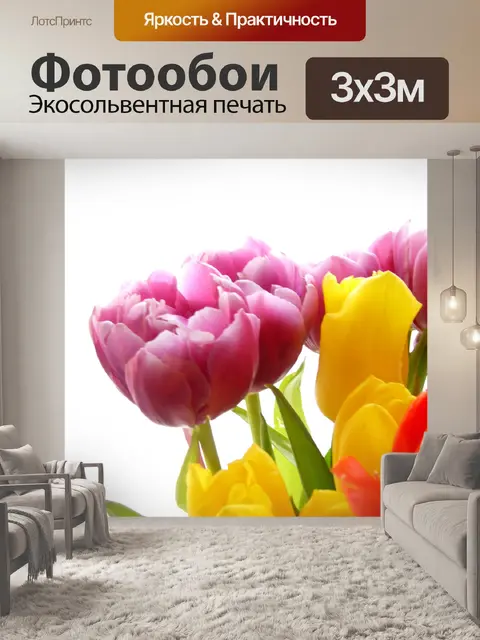 Фотообои Тюльпаны