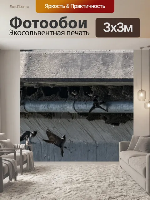 Фотообои Ласточки