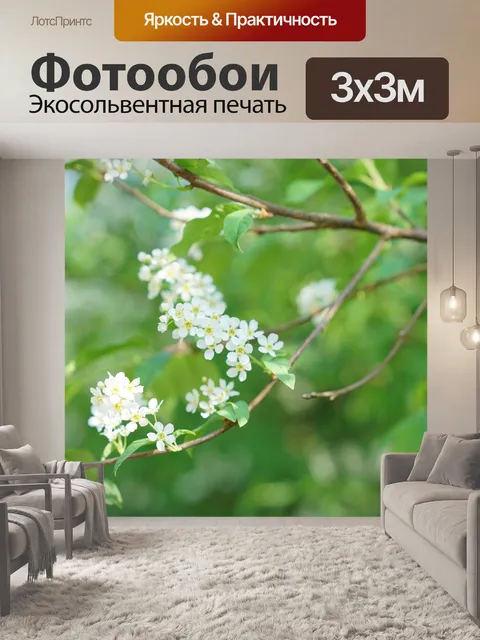 Фотообои Расцветает