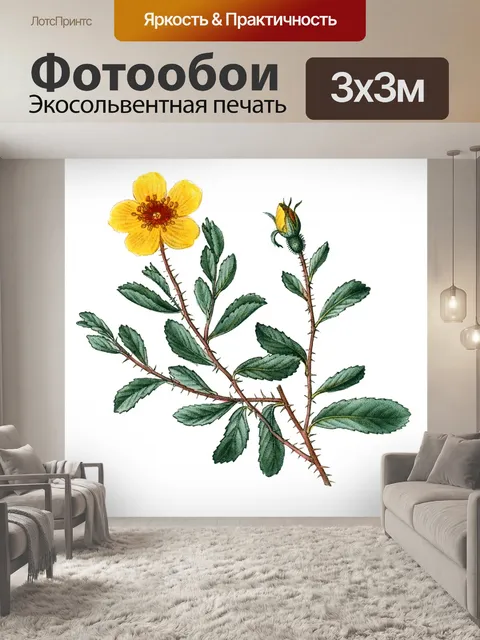 Фотообои Цветы клипарт графический рисунок