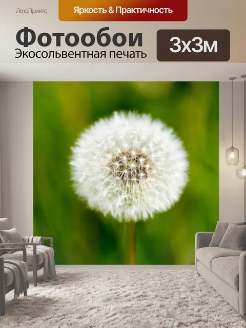 Фотообои Одуванчик