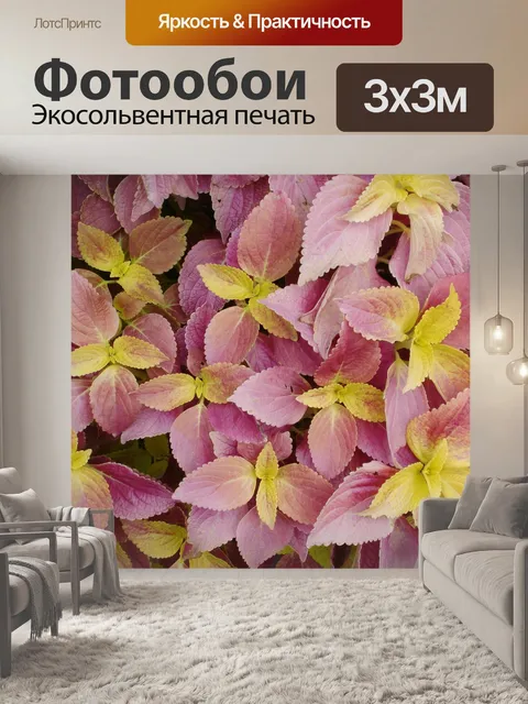 Фотообои Листья