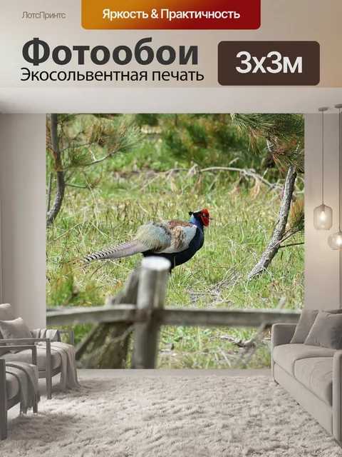Фотообои Животное