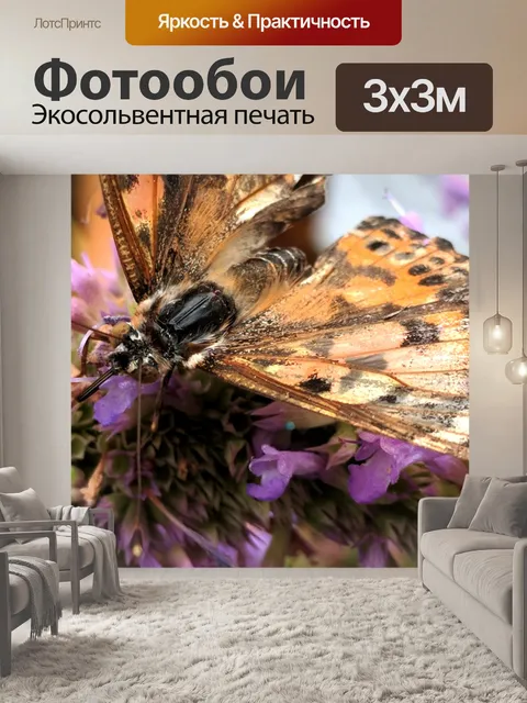 Фотообои Окрашенная леди Бабочка
