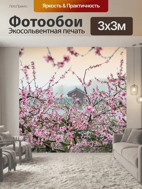 Фотообои Персиковый цвет