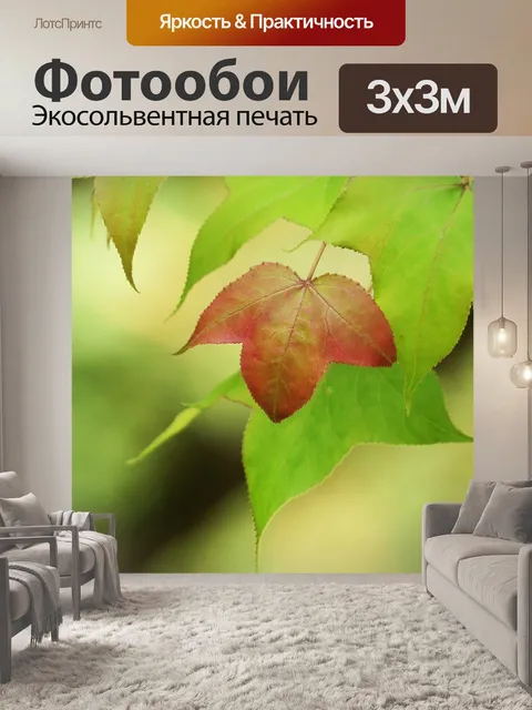 Фотообои Лист