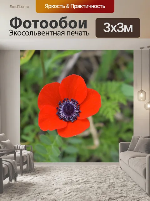 Фотообои Цветы