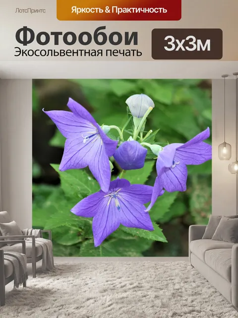 Фотообои Воздушный шар Цветы крупным планом