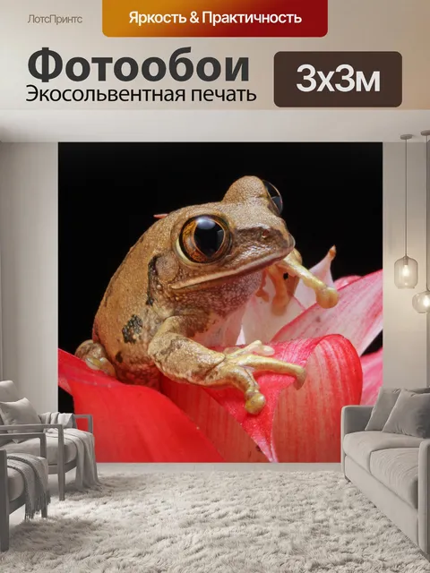 Фотообои Мраморная Reed Frog