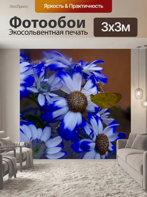Фотообои Бабочка