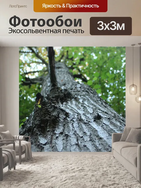 Фотообои Дерево