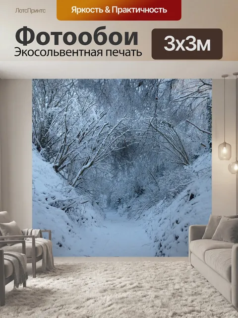 Фотообои Снег путь
