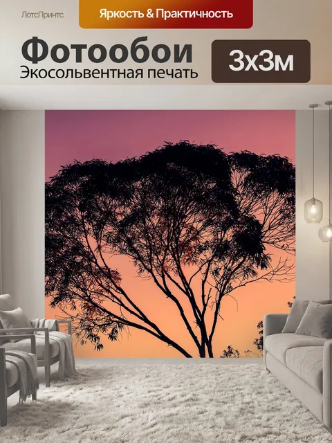 Фотообои Эвкалипт