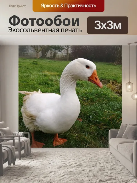 Фотообои Гусь