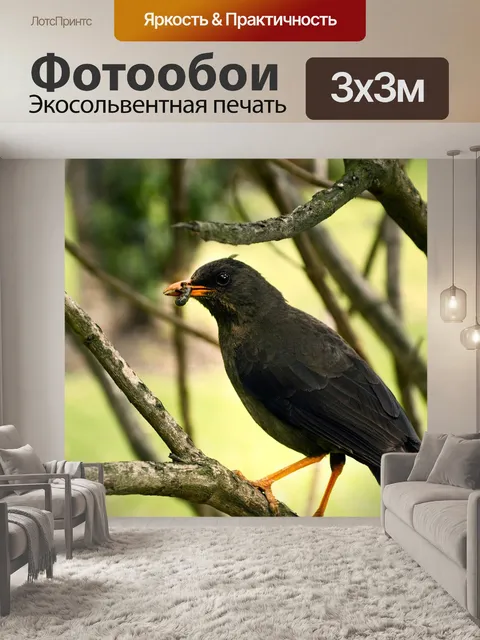 Фотообои Птица