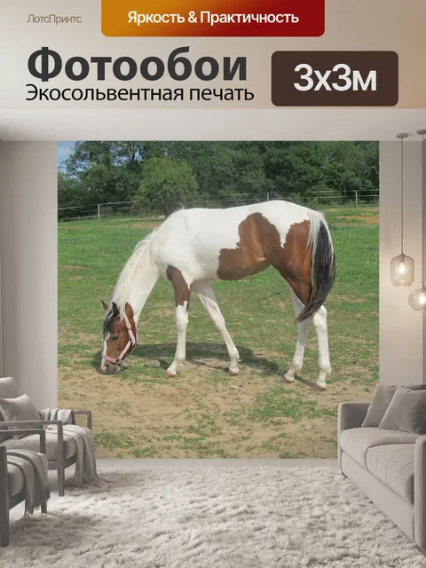 Фотообои Лошадь