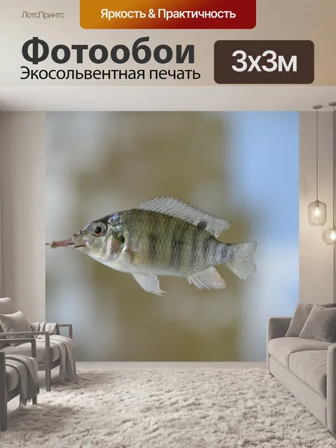 Фотообои Рыба