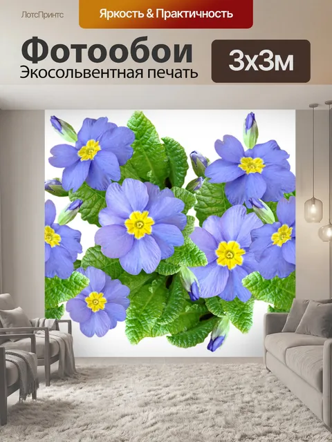 Фотообои Цветы